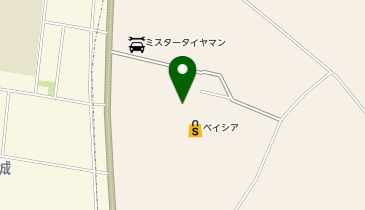 買取専科 ベイシア成田芝山店の地図画像