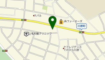 爆弾ハンバーグフライングガーデン 前橋川原店の地図画像
