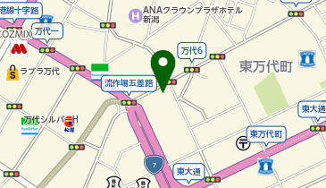 小顔FaceLabo(フェイスラボ) 新潟駅前店の地図画像