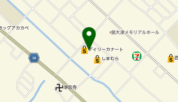 保険薬局カルテの地図画像