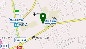 光源寺(駒込大観音)の地図画像
