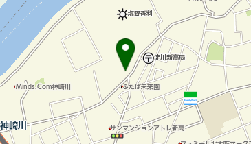 ロピア 新高店の地図画像