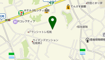 沖縄Soulfood softserve ice cream(ソウルフード ソフトサービス アイス クリーム)の地図画像
