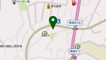 丸大 東風平店の地図画像