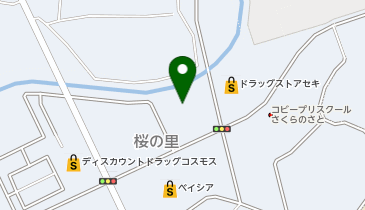すたみな太郎PREMIUM BUFFET 野田桜の里店の地図画像