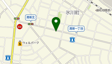 Rhino Kitchen Sagamihara(ライノ キッチン サガミハラ)の地図画像