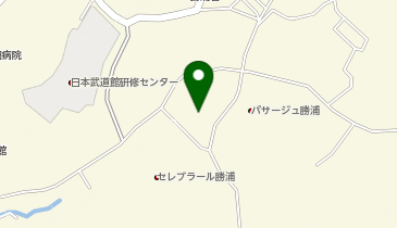 ポイントバケーション勝浦の地図画像