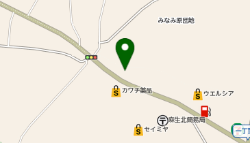 【6/28オープン】THE LION KING 茨城店の地図画像