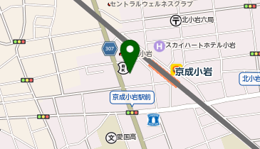 成光堂ベビーセンターの地図画像