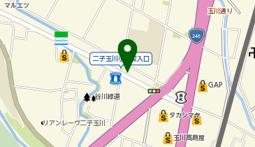 クロロフイル二子玉川美顔教室の地図画像