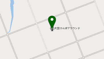 大宮けんぽグラウンド(三洋電機)の地図画像