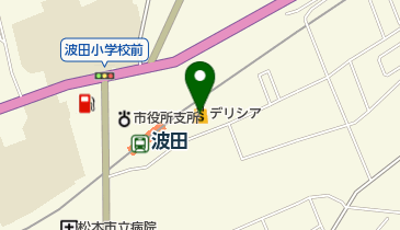 デリシア 波田駅前店の地図画像