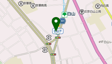 くすりセイジョー 白山店の地図画像