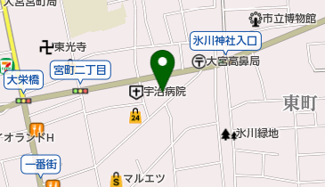 エステティック ミス・パリ 大宮店の地図画像