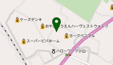 ANAP(アナップ) おやまゆうえんハーヴェストウォーク店の地図画像