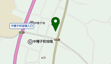 NPO法人 Turtle Crew(タートル クルー)の地図画像