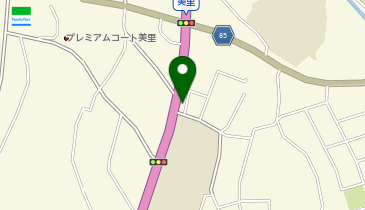 Peruvian Restaurant Salsa(ペルビアン レストラン サルサ)の地図画像