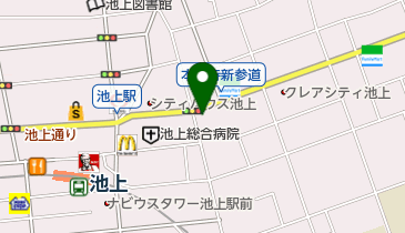 ファイテンショップ池上店の地図画像