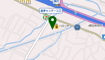 ドラッグ新生堂 横代店の地図画像