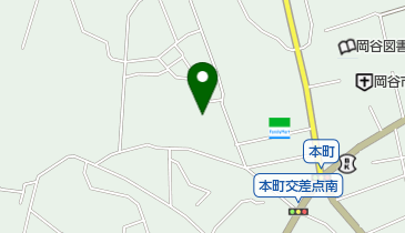 イリーゼ岡谷の地図画像