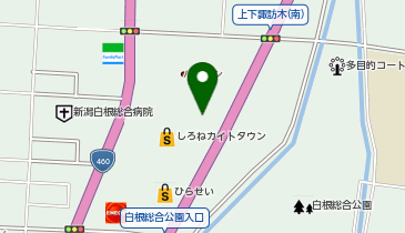ファッション市場 sanki(サンキ) 白根店の地図画像