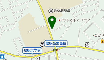 とっとり中央整骨院の地図画像