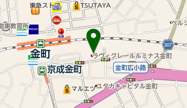 ホットヨガスタジオLAVA(ラバ) 金町店の地図画像