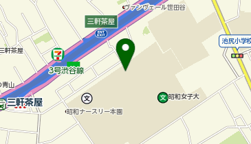 ブリティッシュ・スクール・イン・トウキョウ昭和の地図画像