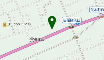 Harappa(ハラッパ) 本店の地図画像