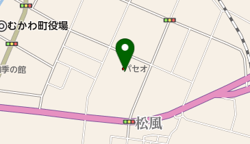 コープドラッグ パセオむかわ店の地図画像