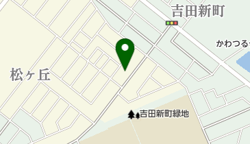 USA PIZZA(ピザ) 鶴ヶ島店の地図画像