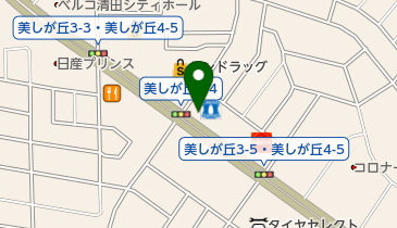 株式会社エンパイアー 美しが丘中央店の地図画像