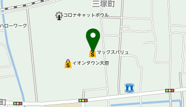 おしゃれ洗濯じゃぶじゃぶ イオンタウン大垣店の地図画像