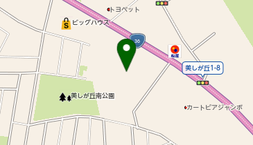 ベガジオ 美しが丘店の地図画像