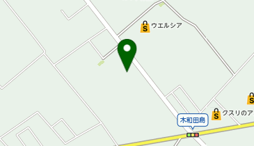 ダイナム 栃木日光大沢店 ゆったり館の地図画像