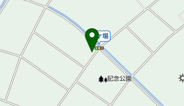 新日本フエザーコア株式会社 岩槻工場の地図画像