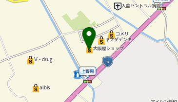 ヤングドライ 大阪屋入善店の地図画像
