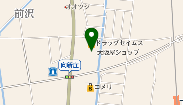 ヤングドライ 大阪屋立山店の地図画像