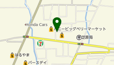 ヤングドライ 武生芝原店の地図画像