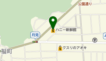 ヤングドライ 新鮮館みのり店の地図画像