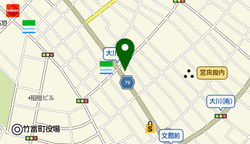 石垣島八重山観光サービスの地図画像