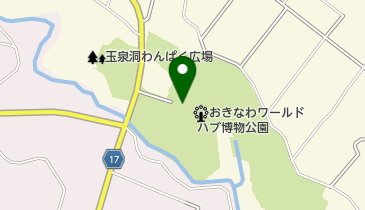 35COFFEE(スリーファイブコーヒー) おきなわワールド店の地図画像