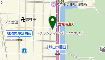 明治製菓株式会社薬品 松山営業所の地図画像