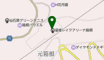 星槎レイクアリーナ箱根の地図画像