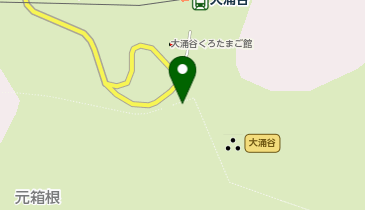 大涌谷延命地蔵尊の地図画像
