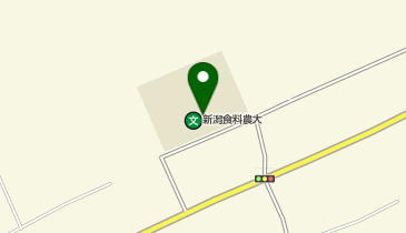 新潟食料農業大学 新潟キャンパスの地図画像