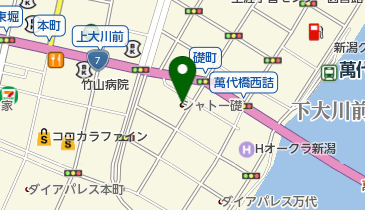 BLUE ROSE(ブルー ローズ)の地図画像