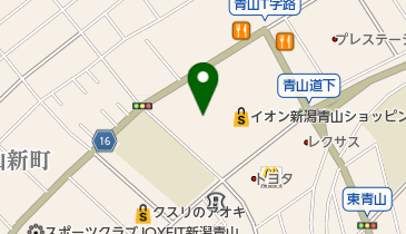 ペテモ イオン新潟青山店の地図画像