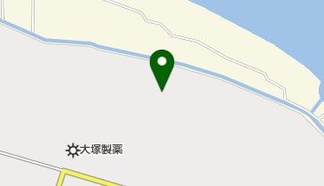 大塚化学株式会社 徳島工場の地図画像