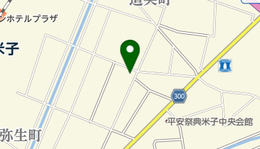 Rige hair(リグ ヘアー)の地図画像